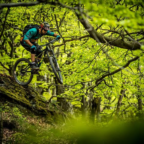 Mountainbiker in der Bikewelt Willingen im Buchenwald im Frühling beim Sprung über eine Gesteinsformation