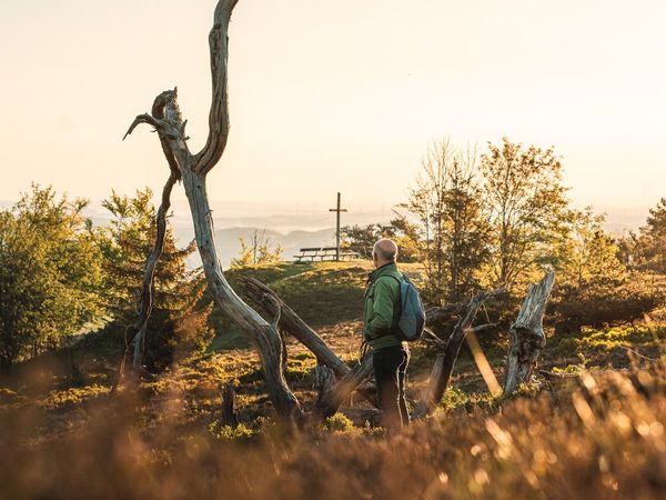 Wanderer mit Baumwurzel und Gipfelkreuz im Abendlicht