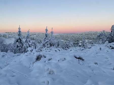 Verschneite Landschaft auf dem Ettelsberg bei Morgenröte