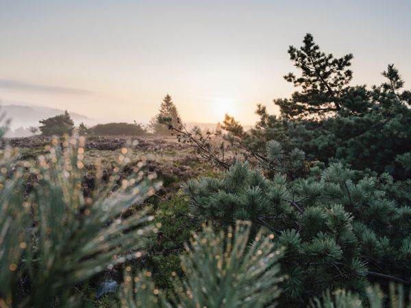 Winterliche Landschaft auf der Hochheide