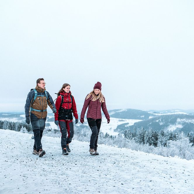 Wandergruppe auf dem Ettelsberg vor winterlichem Bergpanorama