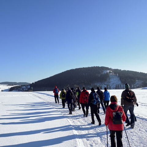 Wandergruppe beim Winterwandern im Schnee in Willingen