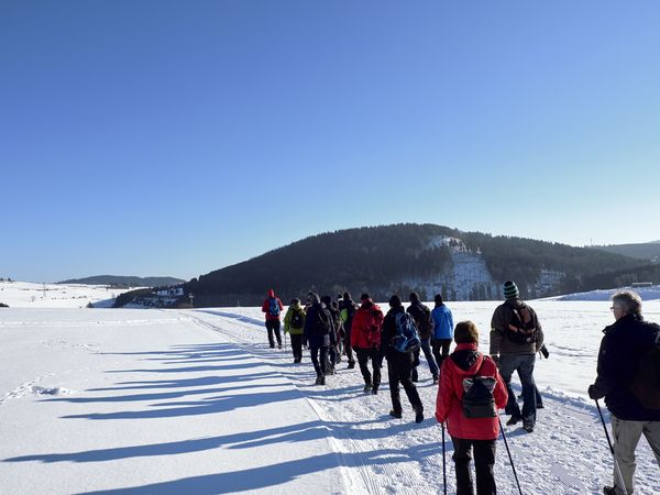 Wandergruppe beim Winterwandern im Schnee in Willingen