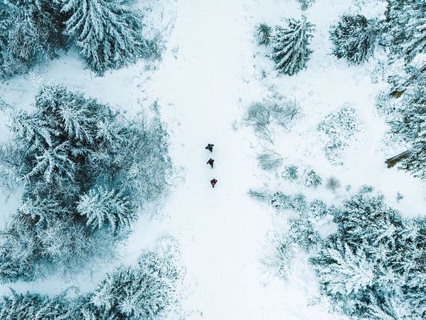 Luftaufnahme von 3 Personen im verschneiten Winterwald Luftaufnahme von 3 Personen im verschneiten Winterwald