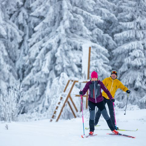 Langläufer-Paar in Willingen vor dem verschneiten Wald