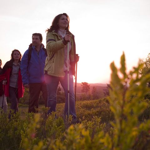 Vier Wanderer in Willingen bei Sonnenaufgang