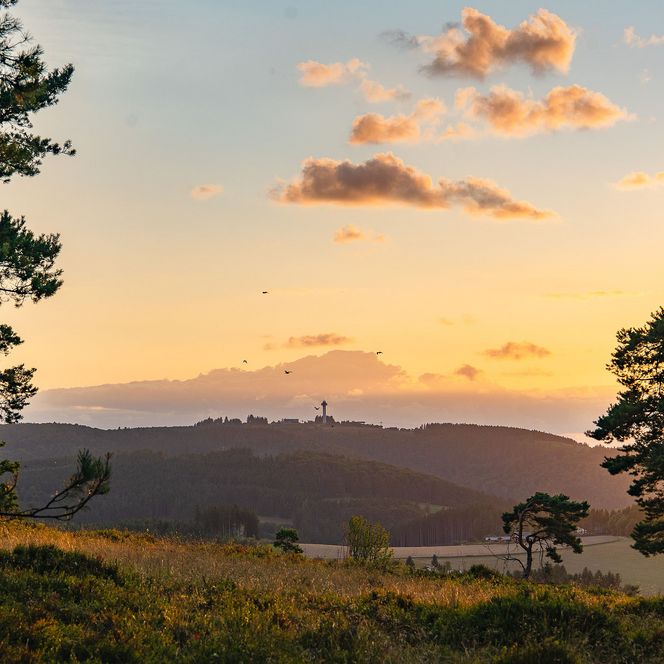 Blick zum Hochheideturm im Abendlicht