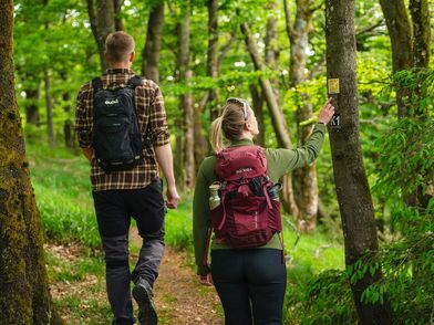 Wanderpaar im grünen Wald unterwegs auf dem Sauerland-Hoehenflug in Medebach