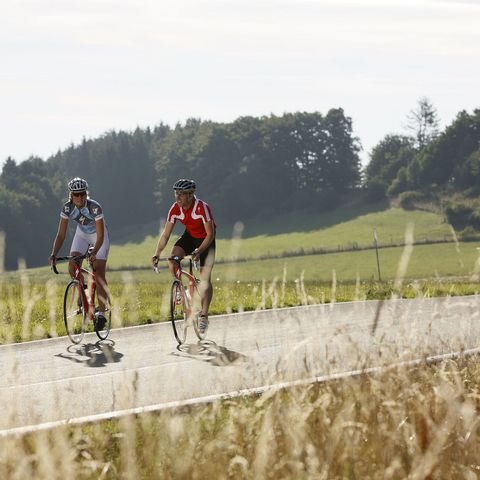 Rennradfahrer im Sauerland, im Hintergrund ein Wäldchen