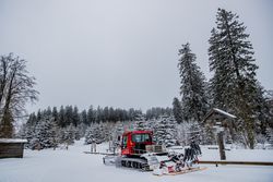 Loipenspurgerät an der Großen Gube in Willingen