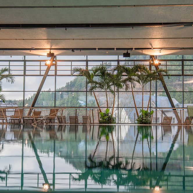 Palmen und Glasfront im Lagunen-Erlebnisbad