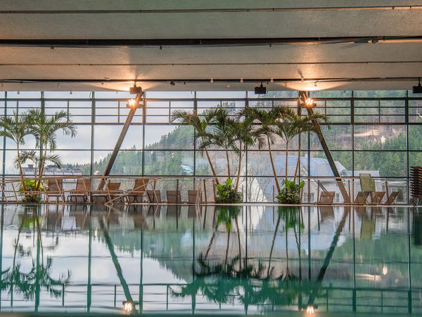 Palmen und Glasfront im Lagunen-Erlebnisbad