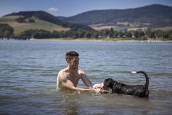 Mann und Hund im Wasser am Diemelsee