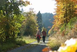 Wanderpaar am herbstlch gefärbten Waldrand
