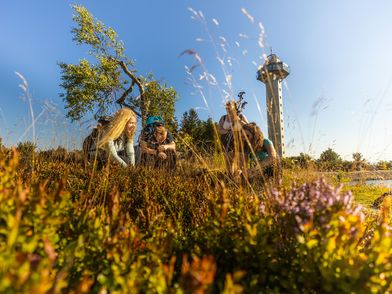 Wandergruppe in der Heide auf dem Ettelsberg in Willingen