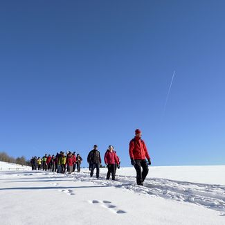 Wandergruppe beim Winterwandern im Schnee bei Sonnenschein in Willingen