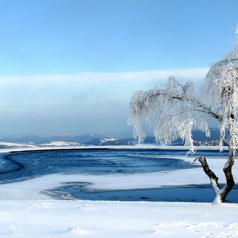Speichersee auf dem Ettelsberg mit einem verschneiten Baum, blauer Himmel