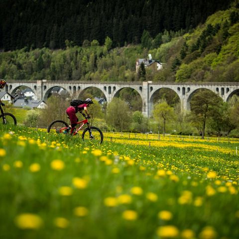 2 Mountainbiker in der Bikewelt Willingen vor dem Viadukt auf einer Löwenzahnwiese