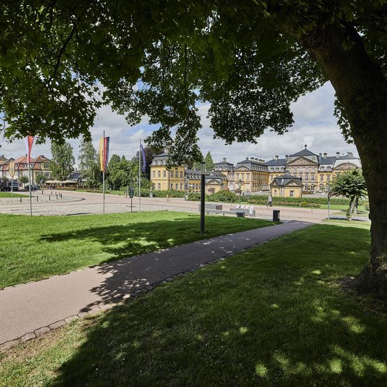 Schloss Bad Arolsen mit Baum und Park im Vordergrund