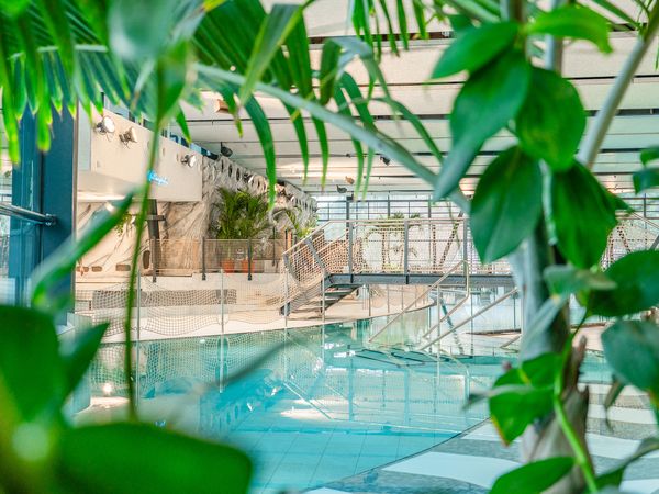 Blick durch Pflanzen ins Lagunen-Erlebnisbad