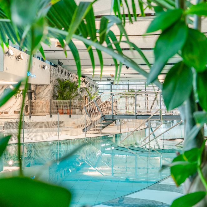 Blick durch Pflanzen ins Lagunen-Erlebnisbad