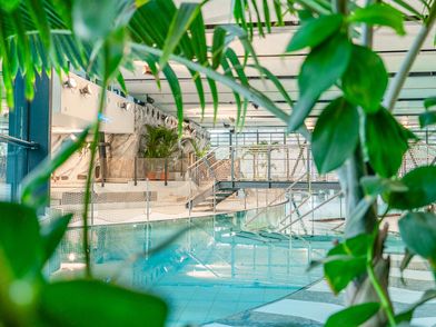 Blick durch Pflanzen ins Lagunen-Erlebnisbad