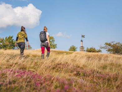 Frauen wandern im Sommer am Osterkopf zum Gipfel