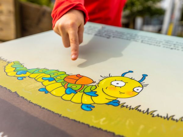Tafel mit Raupe Rieke auf dem Raupenweg am Ettelsberg 