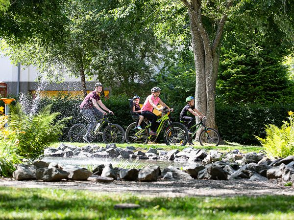 Familie radelt auf dem Diemelradweg