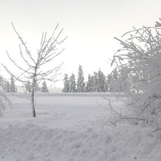 Verschneite Landschaft auf dem Ettelsberg in Willingen