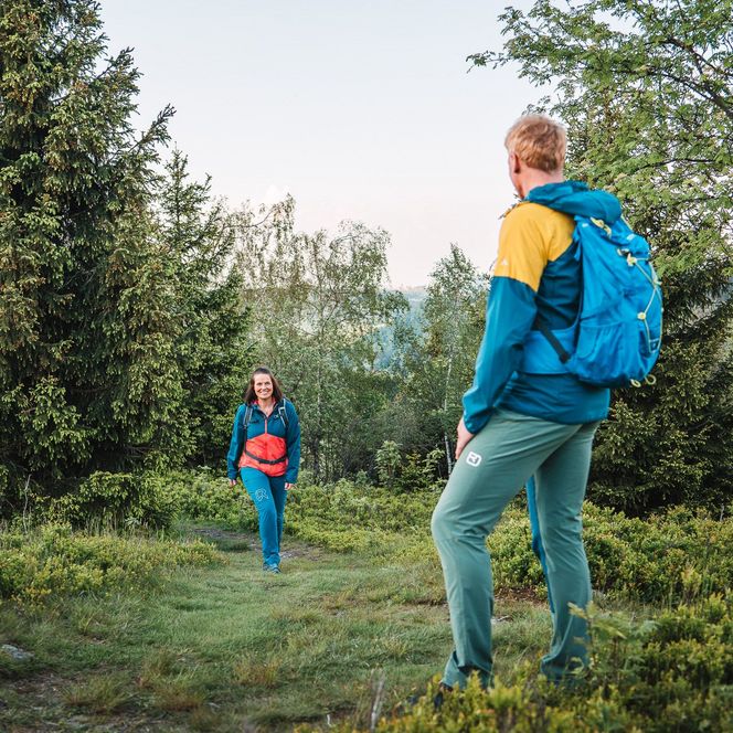 Wanderpaar läuft durch Beerensträucher auf dem Orenberg 