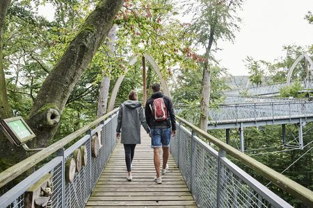 Paar auf Baumkronenweg am Edersee