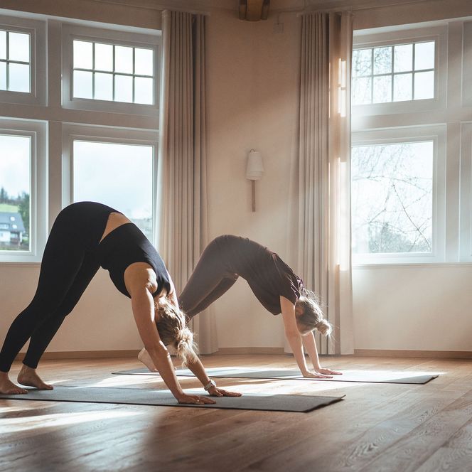 2 Frauen beim morgendlichen Yoga