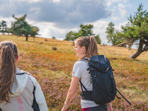 Frauen beim Wandern in der blühenden Heide am Osterkopf Frauen beim Wandern in der blühenden Heide am Osterkopf
