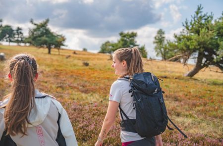 Frauen beim Wandern in der blühenden Heide am Osterkopf