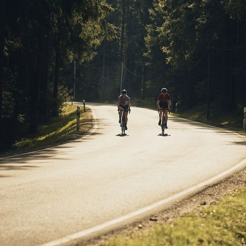 2 Rennradfahrer auf Landstraße im Sauerland im Gegenlicht